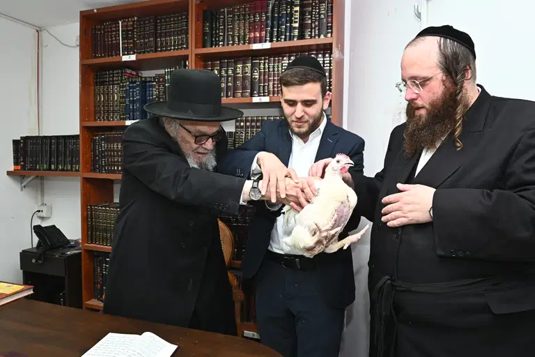 הגרמה הירש בעריכת כפרות