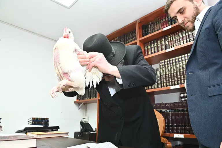 הגרמה הירש בעריכת כפרות