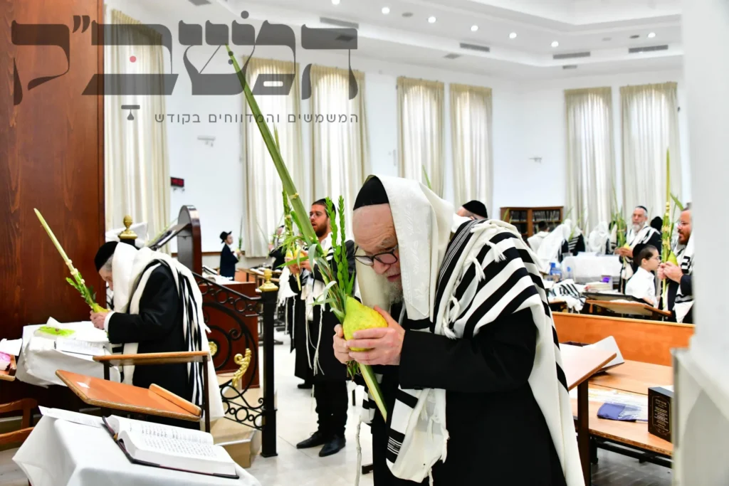 מרנן ורבנן ראשי ישיבת סלבודקא בעבודת הנענועים