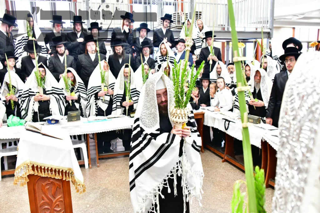האדמו''ר מסאדיגורה בעבודת הנענועים. צפו