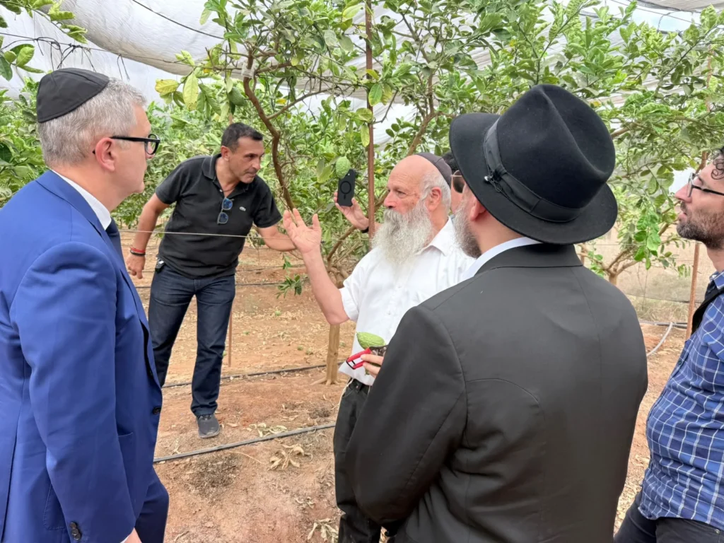 צפו: "לה מרסייז" בסוכה החב"דית