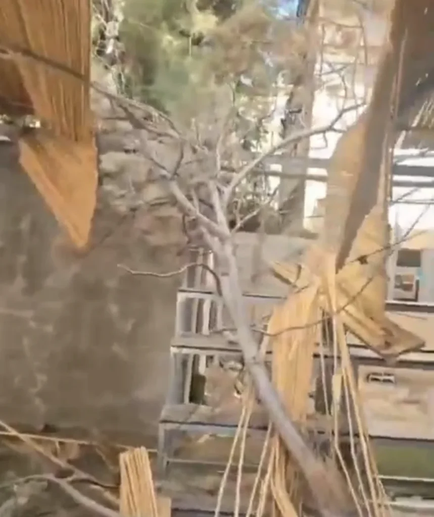 שניות מאסון כבד: גזע עץ ענק קרס על סוכת חסידות בוטושאן