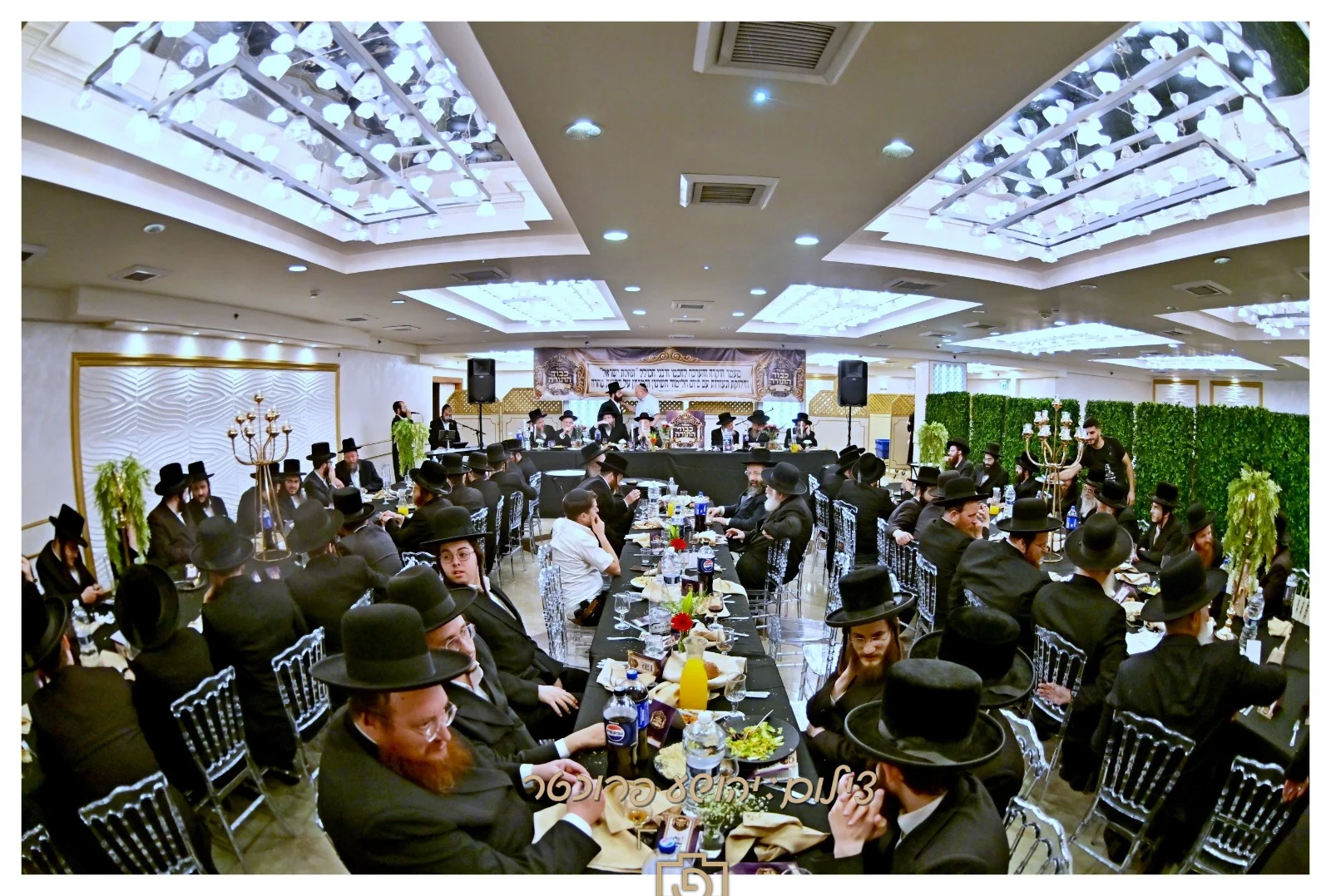 חלוקת תודות תהילת ישראל