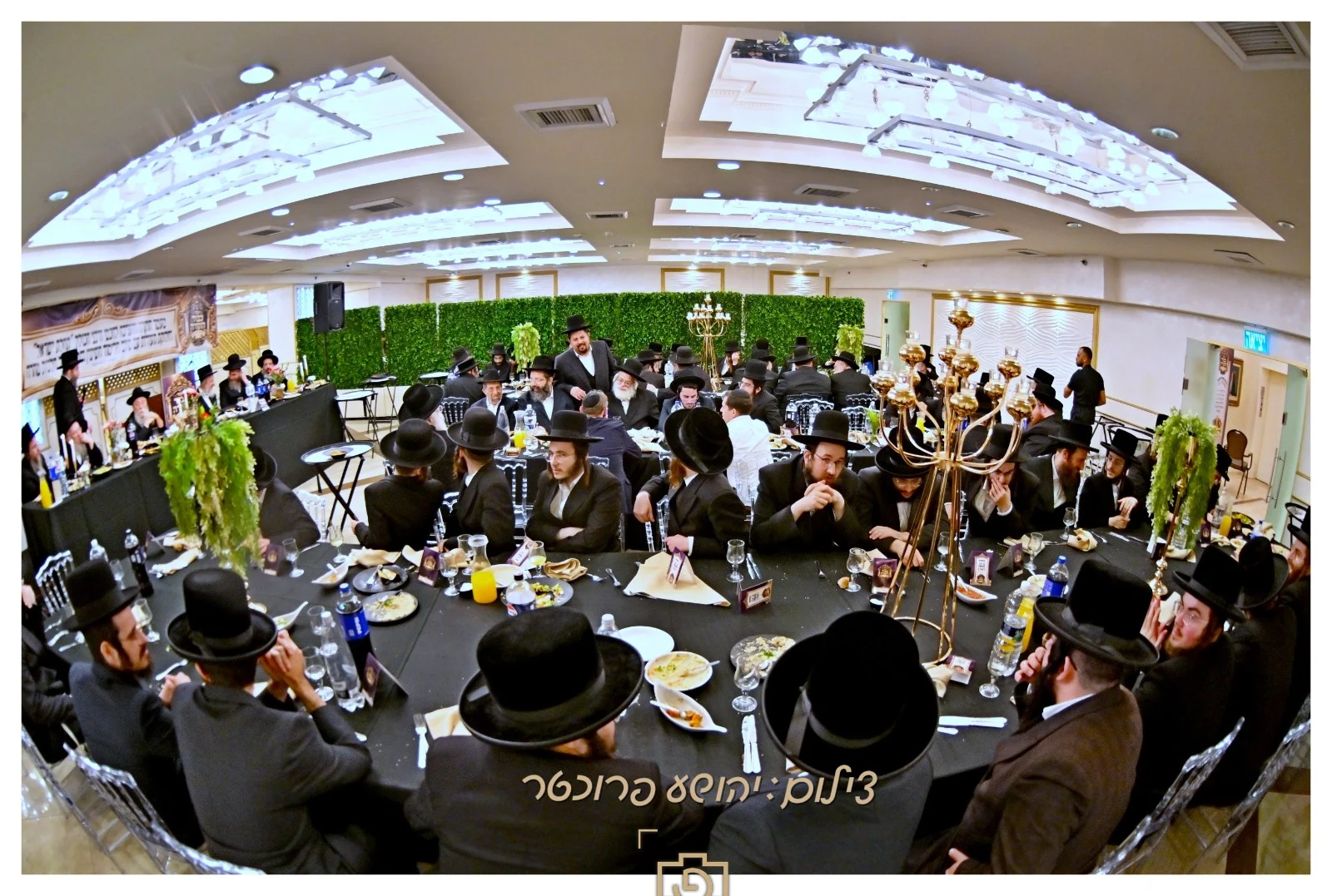 חלוקת תודות תהילת ישראל
